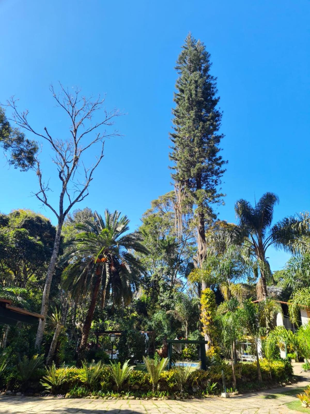 Pousada Villa Jambo Petropolis  Exterior photo